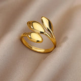 Gold Stainless Steel Ring | AurumBand Chicy Boutique JZ3960G resizable