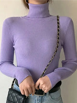 Turtleneck Sweater | Frostine Chicy Boutique PURPLE One Size