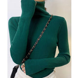 Turtleneck Sweater | Frostine Chicy Boutique DARK GREEN One Size