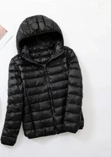 Thin Light Down Jacket | Nordica Chicy Boutique black XXXL