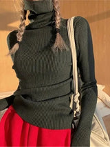 Turtleneck Sweater | Frostine Chicy Boutique