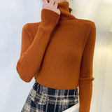 Turtleneck Sweater | Frostine Chicy Boutique CAMEL One Size