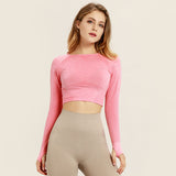 Yoga Shirt Long Sleeve Crop Top Thumb Hole Fitted - Chicy Boutique